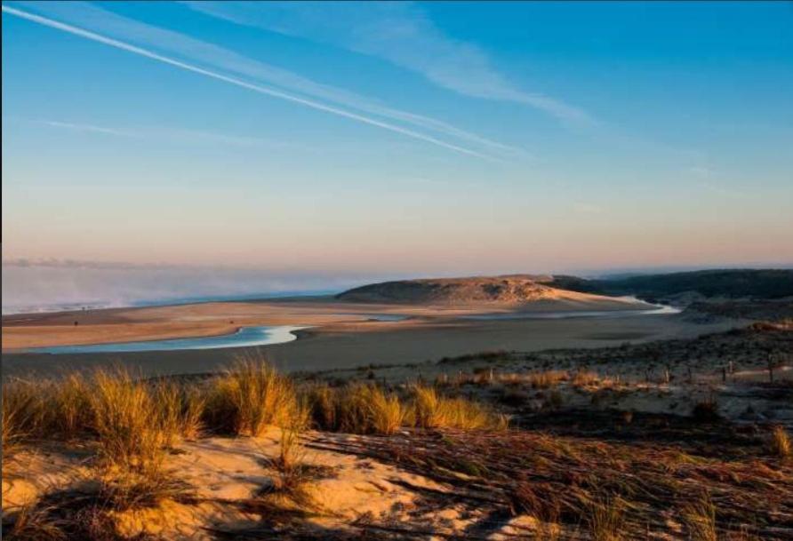 Appartement Proche Lac Et Plage Léon 외부 사진